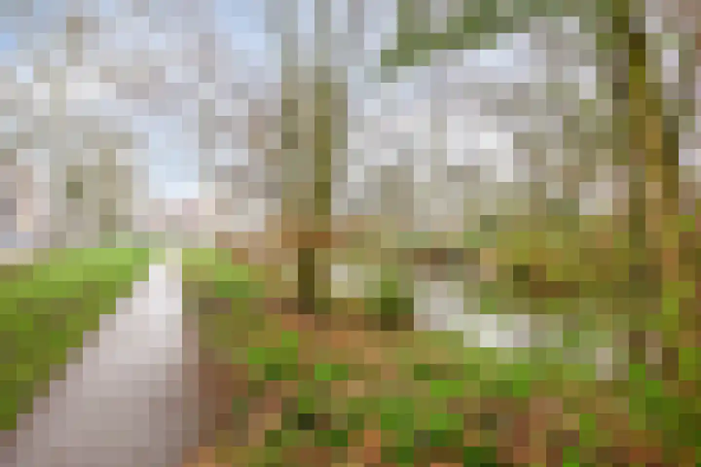 van Godewijckstraat 71 Hendrik-Ido-Ambacht thumbnail 38