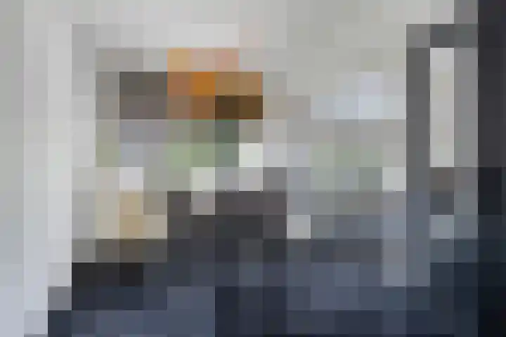 van Godewijckstraat 73 Hendrik-Ido-Ambacht thumbnail 12