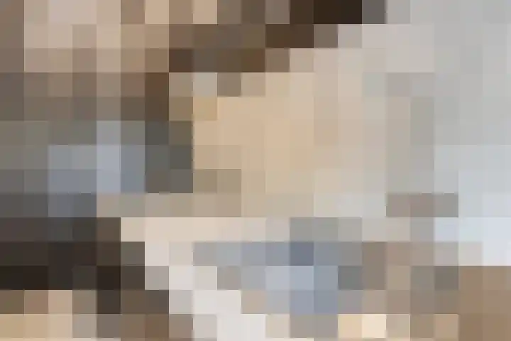 van Godewijckstraat 73 Hendrik-Ido-Ambacht thumbnail 14