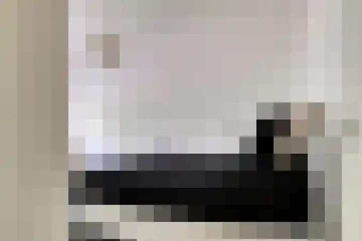 van Godewijckstraat 73 Hendrik-Ido-Ambacht thumbnail 15