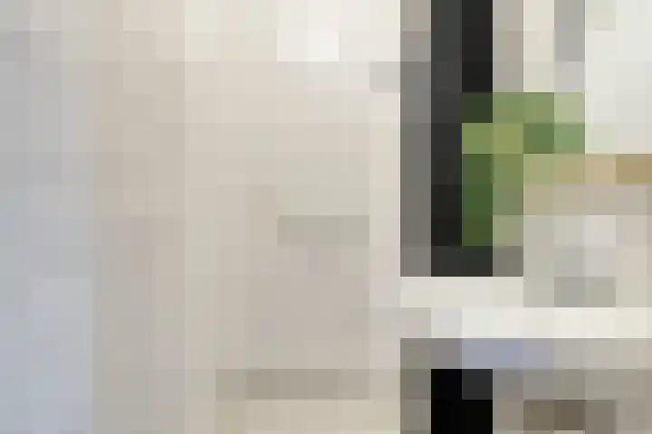 van Godewijckstraat 73 Hendrik-Ido-Ambacht thumbnail 16