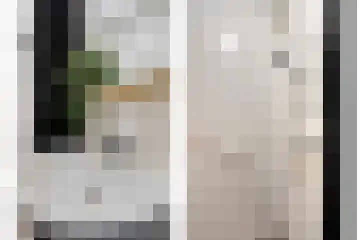 van Godewijckstraat 73 Hendrik-Ido-Ambacht thumbnail 17