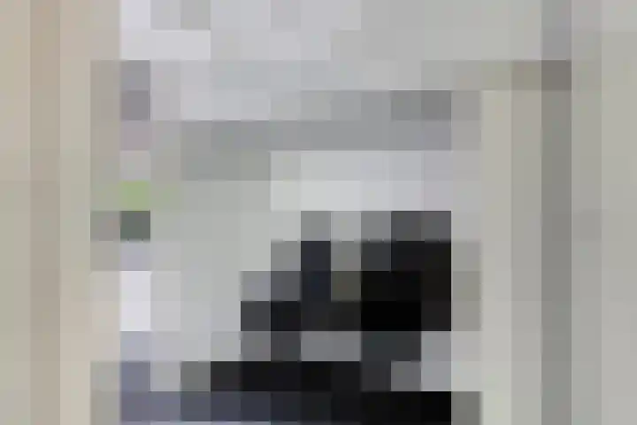 van Godewijckstraat 73 Hendrik-Ido-Ambacht thumbnail 18