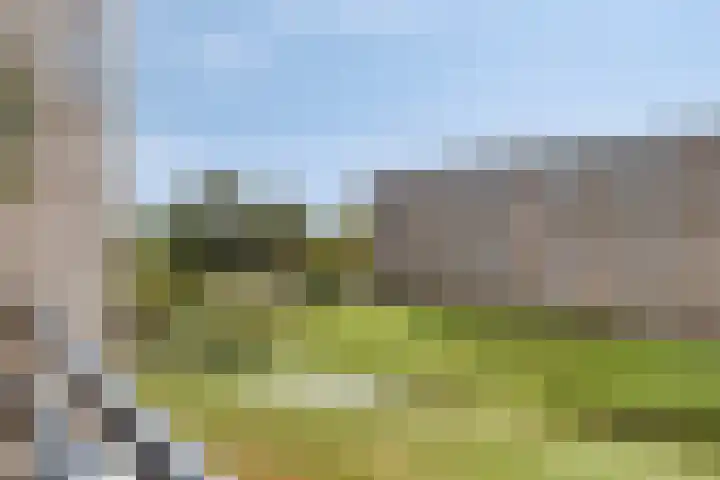 van Godewijckstraat 73 Hendrik-Ido-Ambacht thumbnail 21