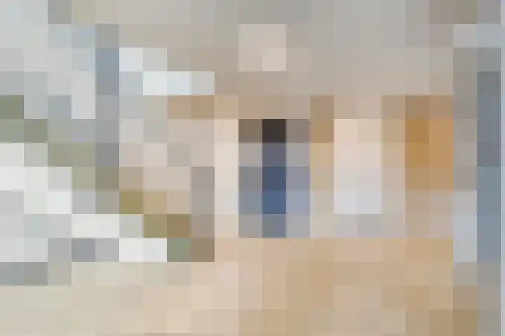 van Godewijckstraat 73 Hendrik-Ido-Ambacht thumbnail 23