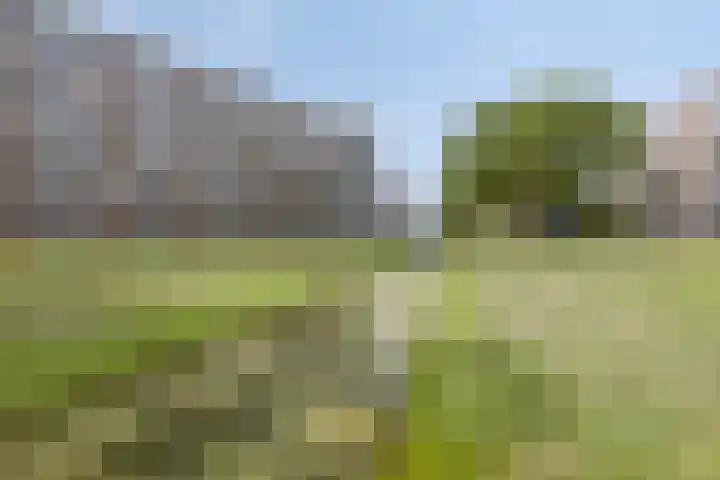 van Godewijckstraat 73 Hendrik-Ido-Ambacht thumbnail 24