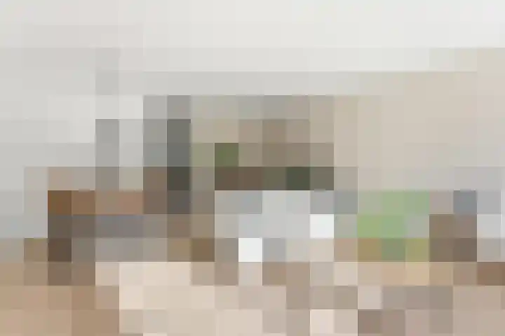 van Godewijckstraat 87 Hendrik-Ido-Ambacht thumbnail 10