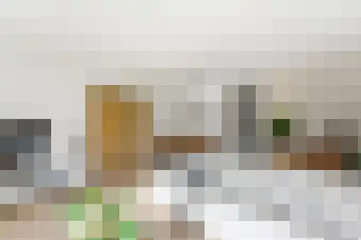 van Godewijckstraat 87 Hendrik-Ido-Ambacht thumbnail 11