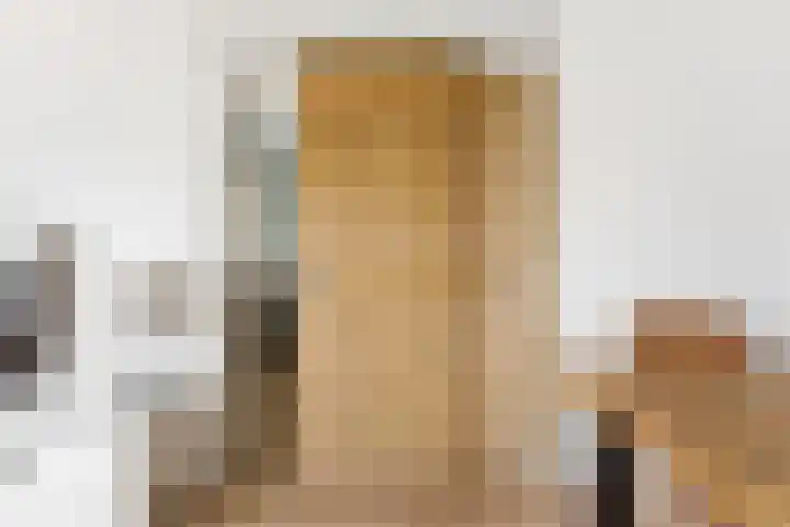 van Godewijckstraat 87 Hendrik-Ido-Ambacht thumbnail 13