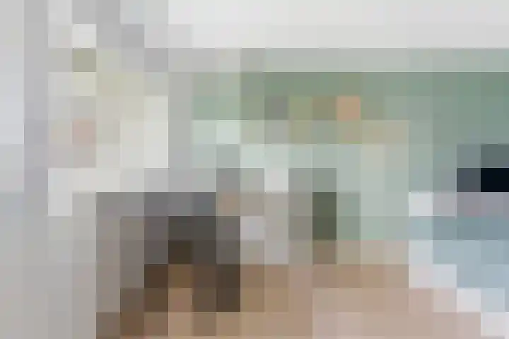 van Godewijckstraat 87 Hendrik-Ido-Ambacht thumbnail 14