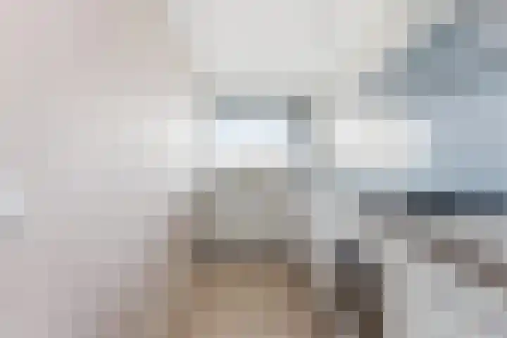van Godewijckstraat 87 Hendrik-Ido-Ambacht thumbnail 20