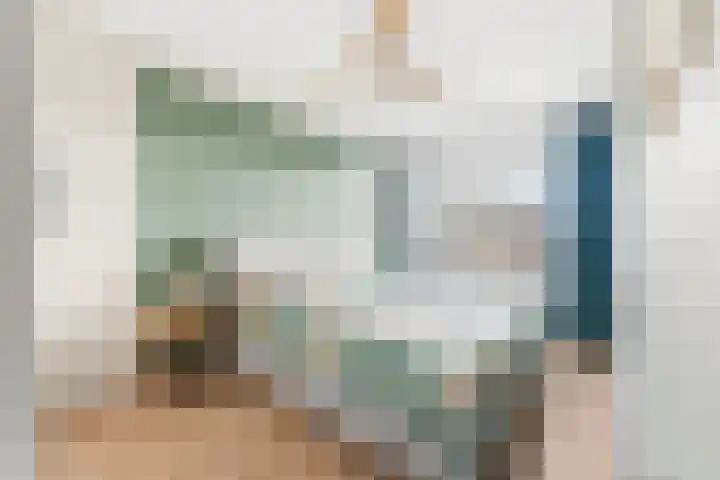 van Godewijckstraat 87 Hendrik-Ido-Ambacht thumbnail 25