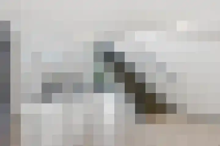 van Godewijckstraat 87 Hendrik-Ido-Ambacht thumbnail 32