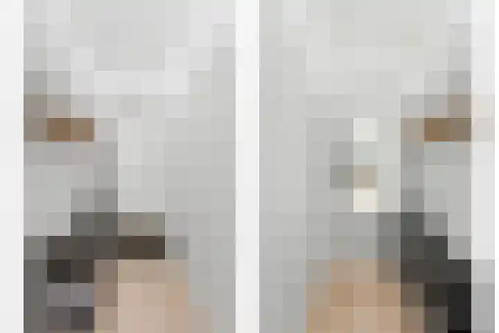 van Godewijckstraat 87 Hendrik-Ido-Ambacht thumbnail 5