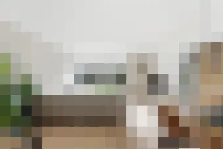 van Godewijckstraat 87 Hendrik-Ido-Ambacht thumbnail 6