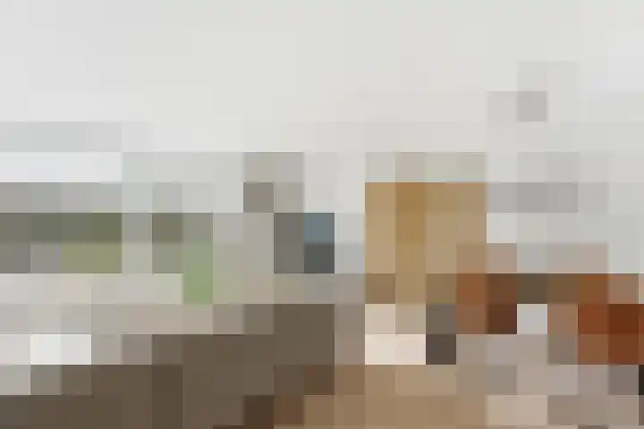 van Godewijckstraat 87 Hendrik-Ido-Ambacht thumbnail 7