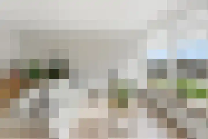 van Godewijckstraat 87 Hendrik-Ido-Ambacht thumbnail 9