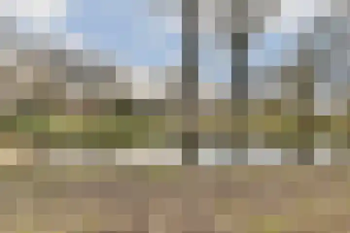 van Godewijckstraat 97 Hendrik-Ido-Ambacht thumbnail 19