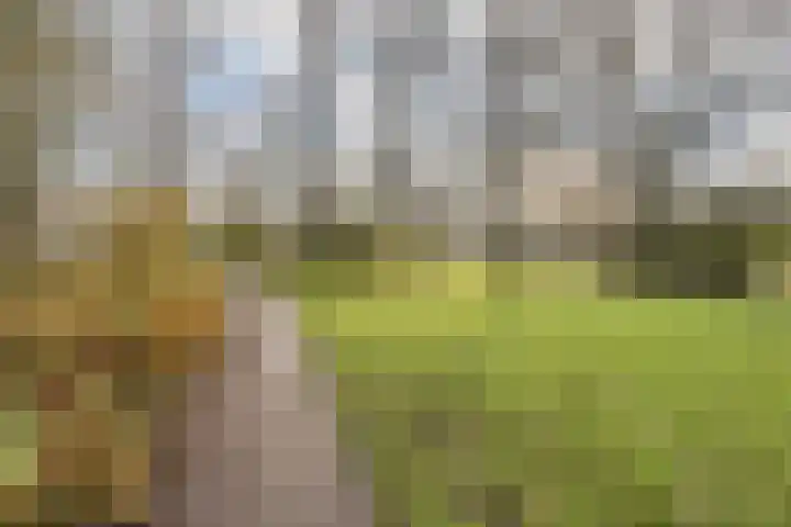 van Godewijckstraat 97 Hendrik-Ido-Ambacht thumbnail 20