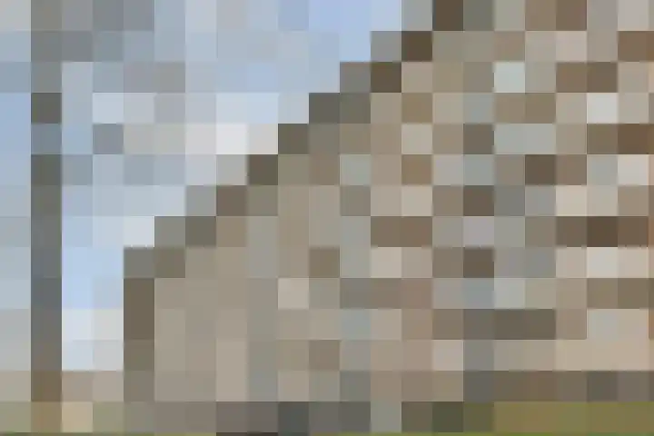 van Godewijckstraat 97 Hendrik-Ido-Ambacht thumbnail 22