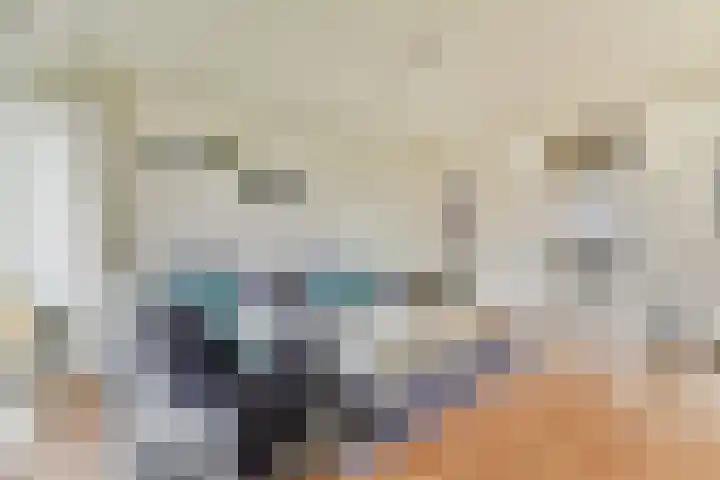 van Godewijckstraat 97 Hendrik-Ido-Ambacht thumbnail 8