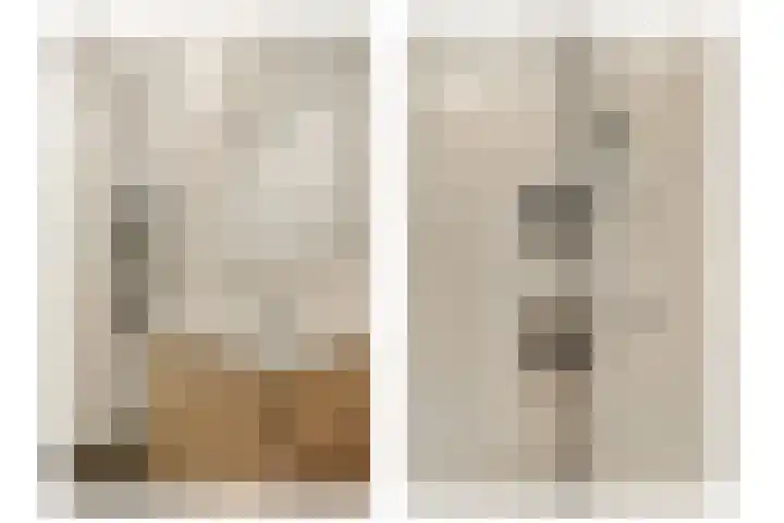 van Godewijckstraat 99 Hendrik-Ido-Ambacht thumbnail 10