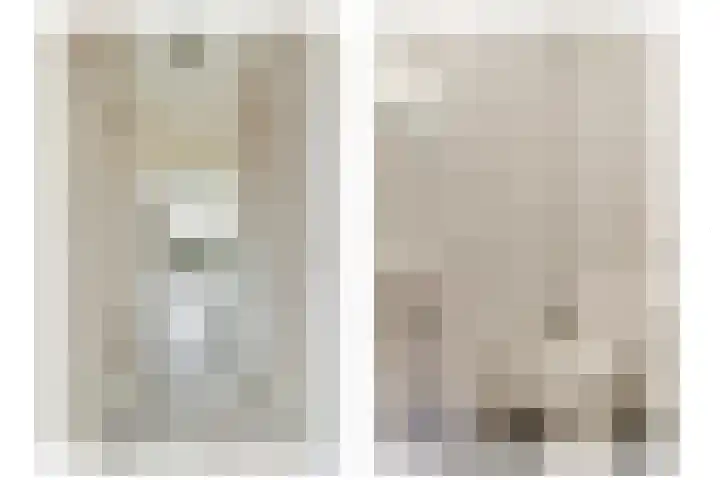 van Godewijckstraat 99 Hendrik-Ido-Ambacht thumbnail 13