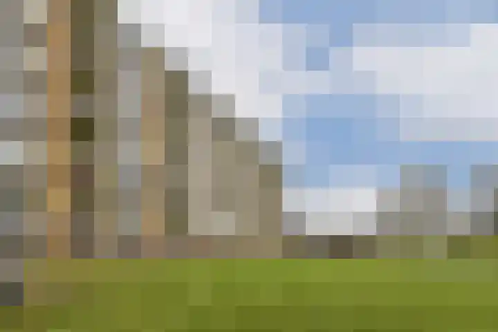 van Godewijckstraat 99 Hendrik-Ido-Ambacht thumbnail 16