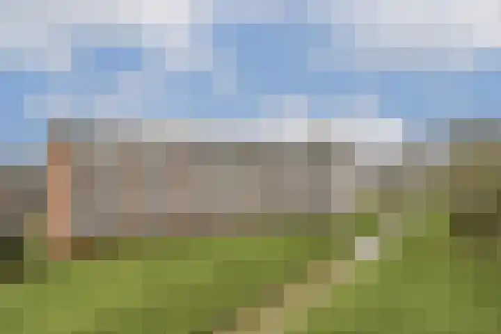 van Godewijckstraat 99 Hendrik-Ido-Ambacht thumbnail 17