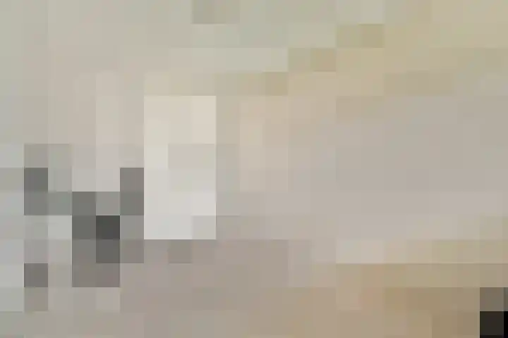 van Godewijckstraat 99 Hendrik-Ido-Ambacht thumbnail 6