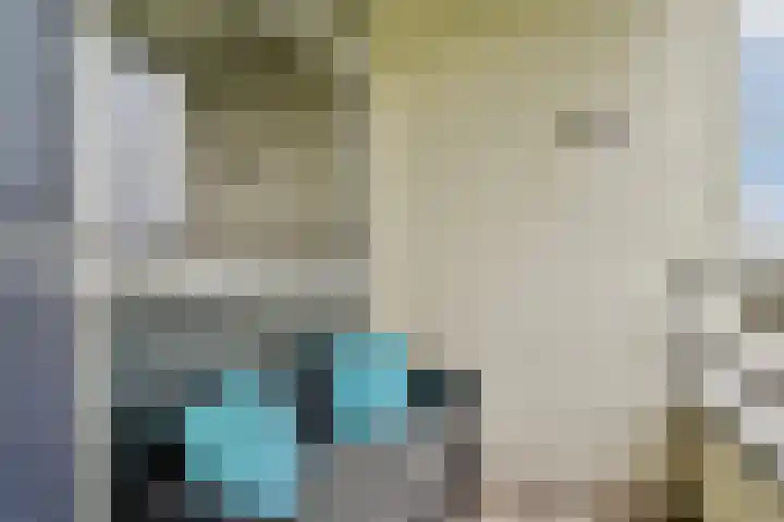 van Godewijckstraat 99 Hendrik-Ido-Ambacht thumbnail 7