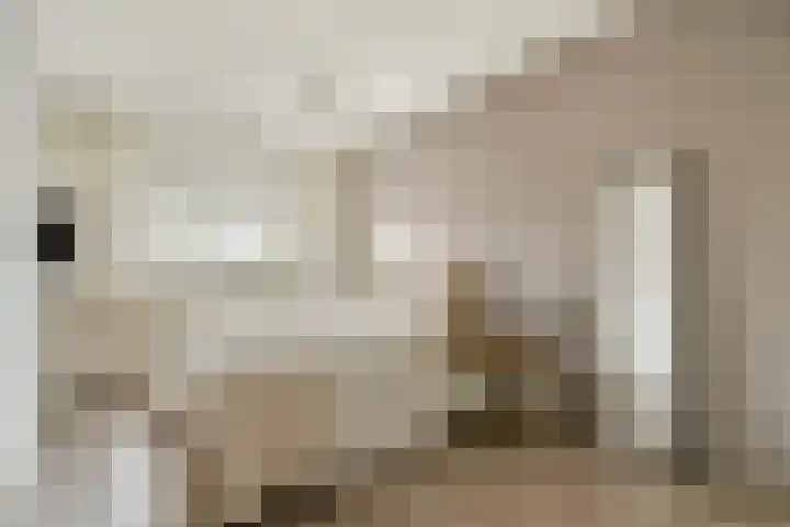 van Godewijckstraat 99 Hendrik-Ido-Ambacht thumbnail 8