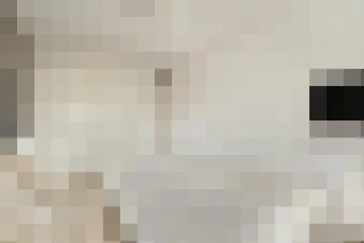 van Godewijckstraat 99 Hendrik-Ido-Ambacht thumbnail 9