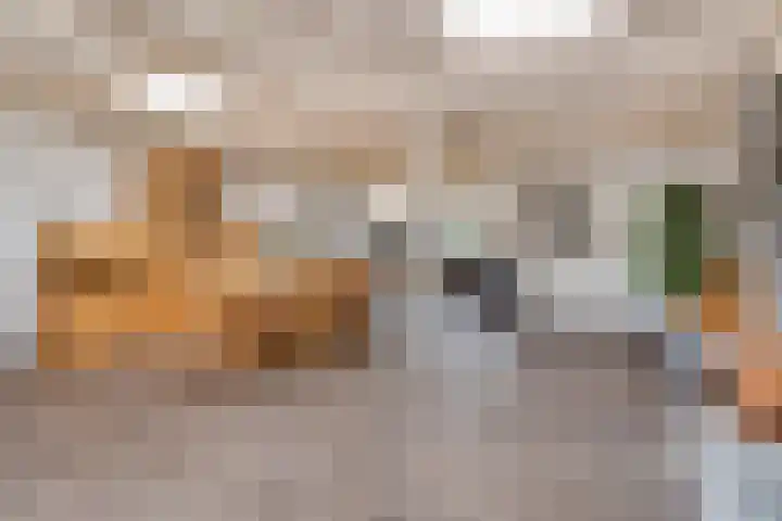 van Goenstraat 9 Veghel thumbnail 11