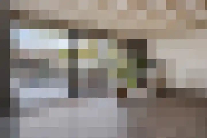 van Goenstraat 9 Veghel thumbnail 12