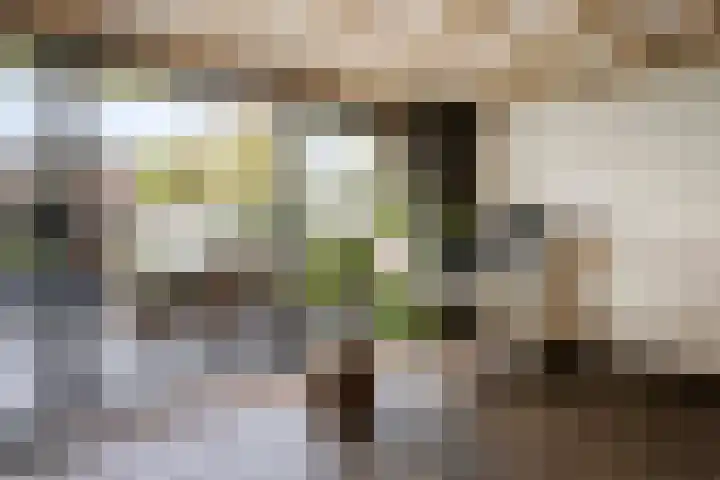 van Goenstraat 9 Veghel thumbnail 13