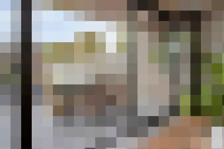 van Goenstraat 9 Veghel thumbnail 14