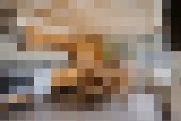 van Goenstraat 9 Veghel thumbnail 16