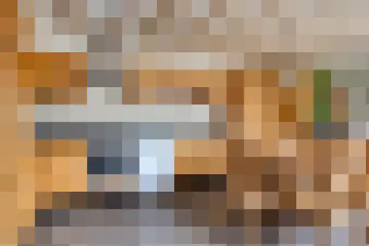 van Goenstraat 9 Veghel thumbnail 17