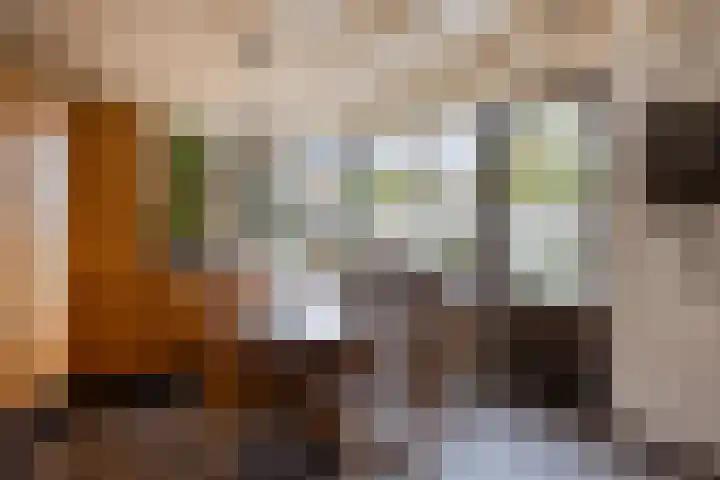 van Goenstraat 9 Veghel thumbnail 18
