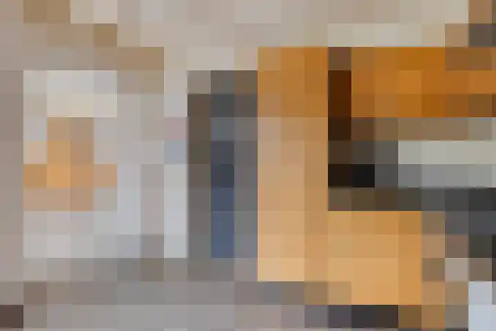 van Goenstraat 9 Veghel thumbnail 19