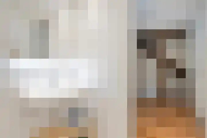 van Goenstraat 9 Veghel thumbnail 24