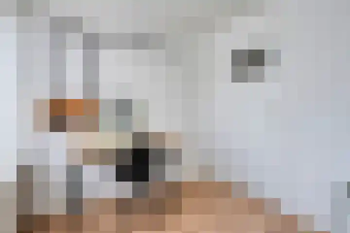 van Goenstraat 9 Veghel thumbnail 26