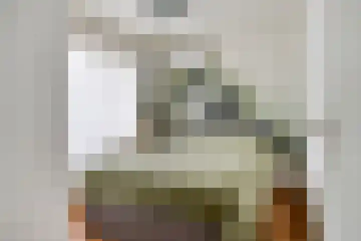 van Goenstraat 9 Veghel thumbnail 27