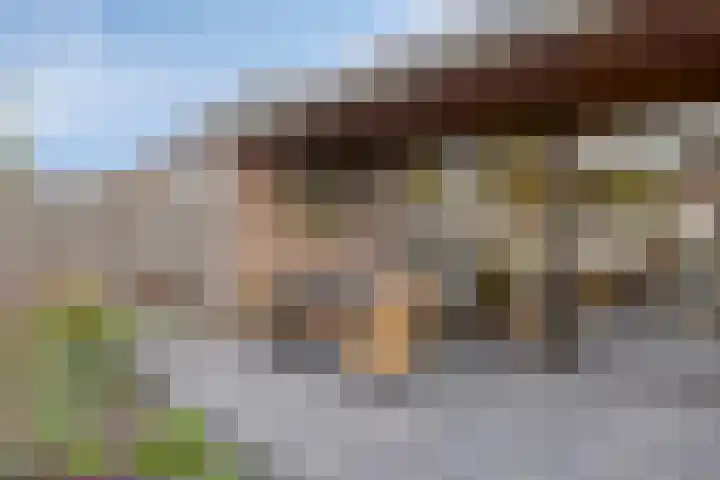 van Goenstraat 9 Veghel thumbnail 33