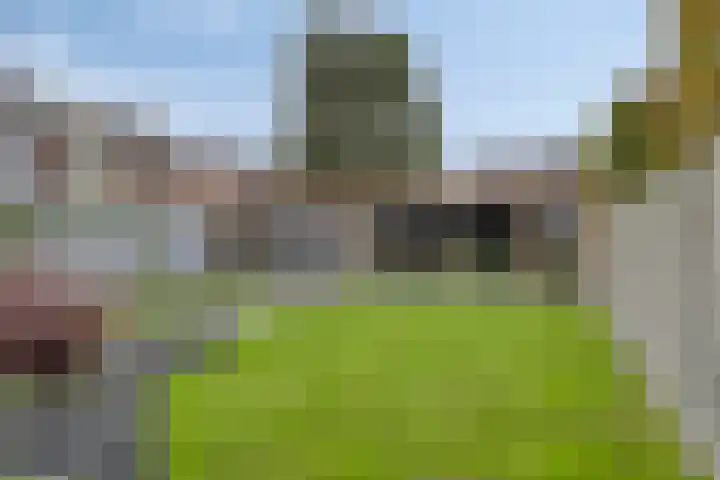 van Goenstraat 9 Veghel thumbnail 34