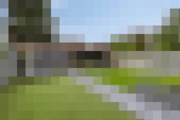 van Goenstraat 9 Veghel thumbnail 35