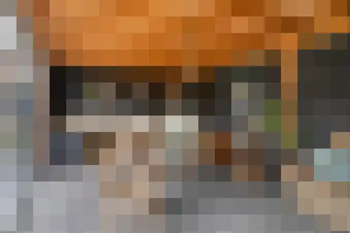 van Goenstraat 9 Veghel thumbnail 38