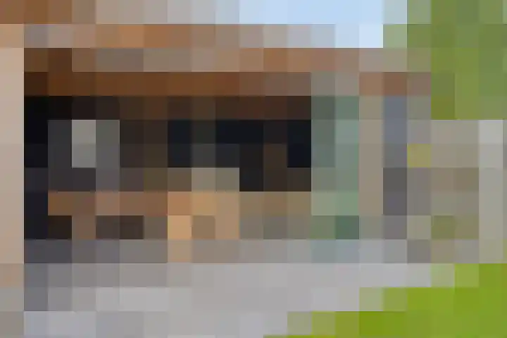 van Goenstraat 9 Veghel thumbnail 40