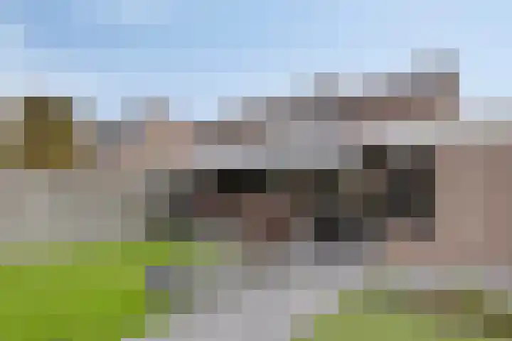 van Goenstraat 9 Veghel thumbnail 43
